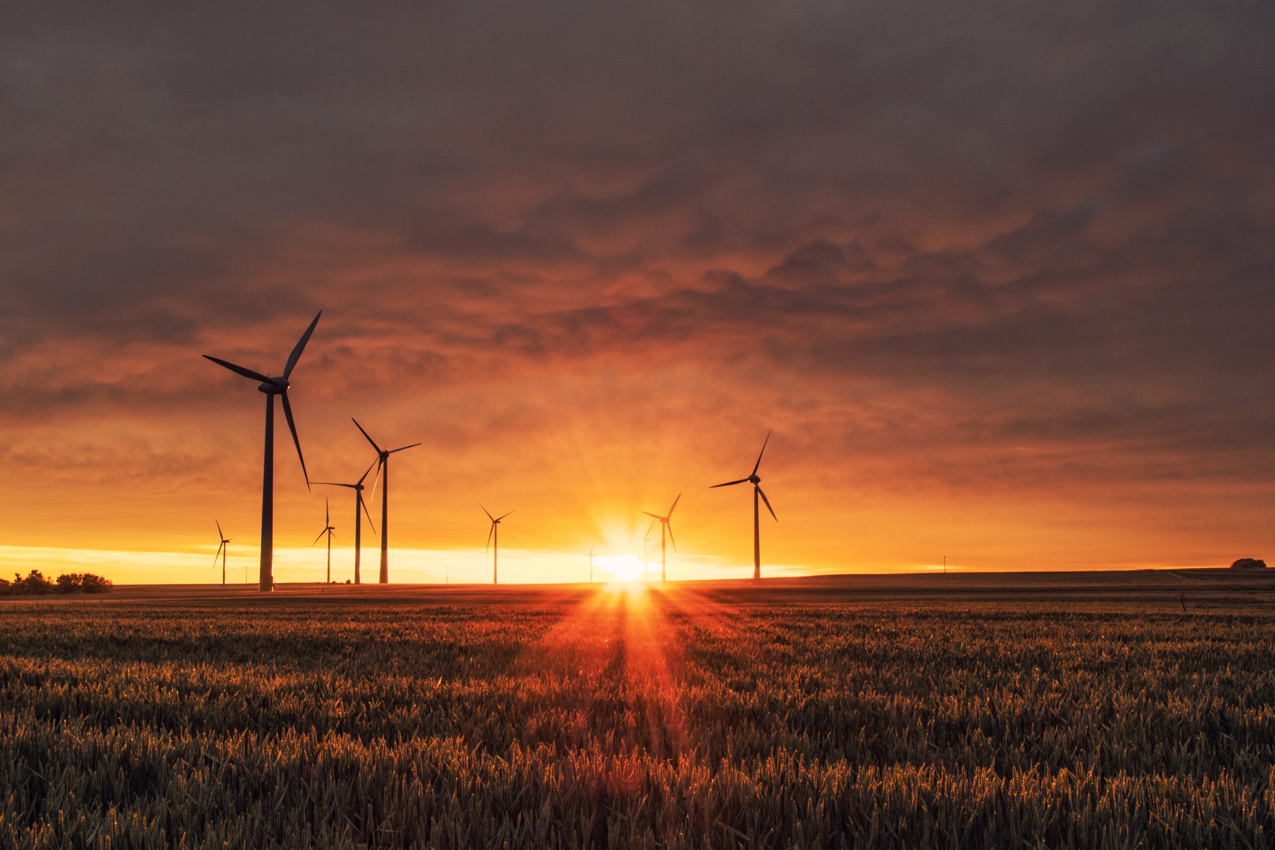 2050 Could Be The Start Of The Destructive Apocalypse If We Don't Address Climate Change