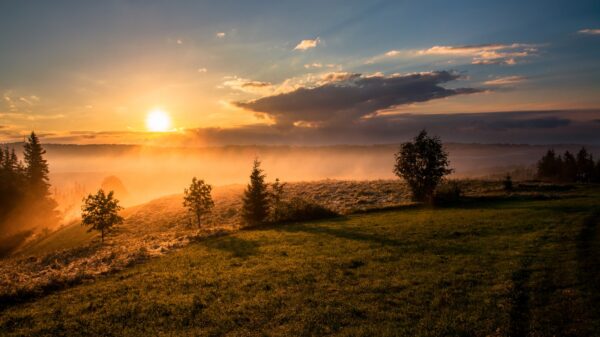 Become A Morning Bird – Why And How To Wake Up Early