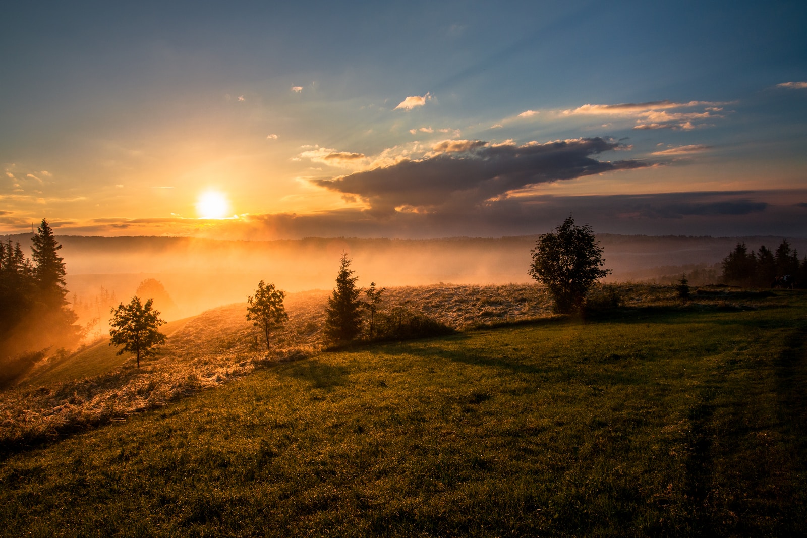 Become A Morning Bird – Why And How To Wake Up Early