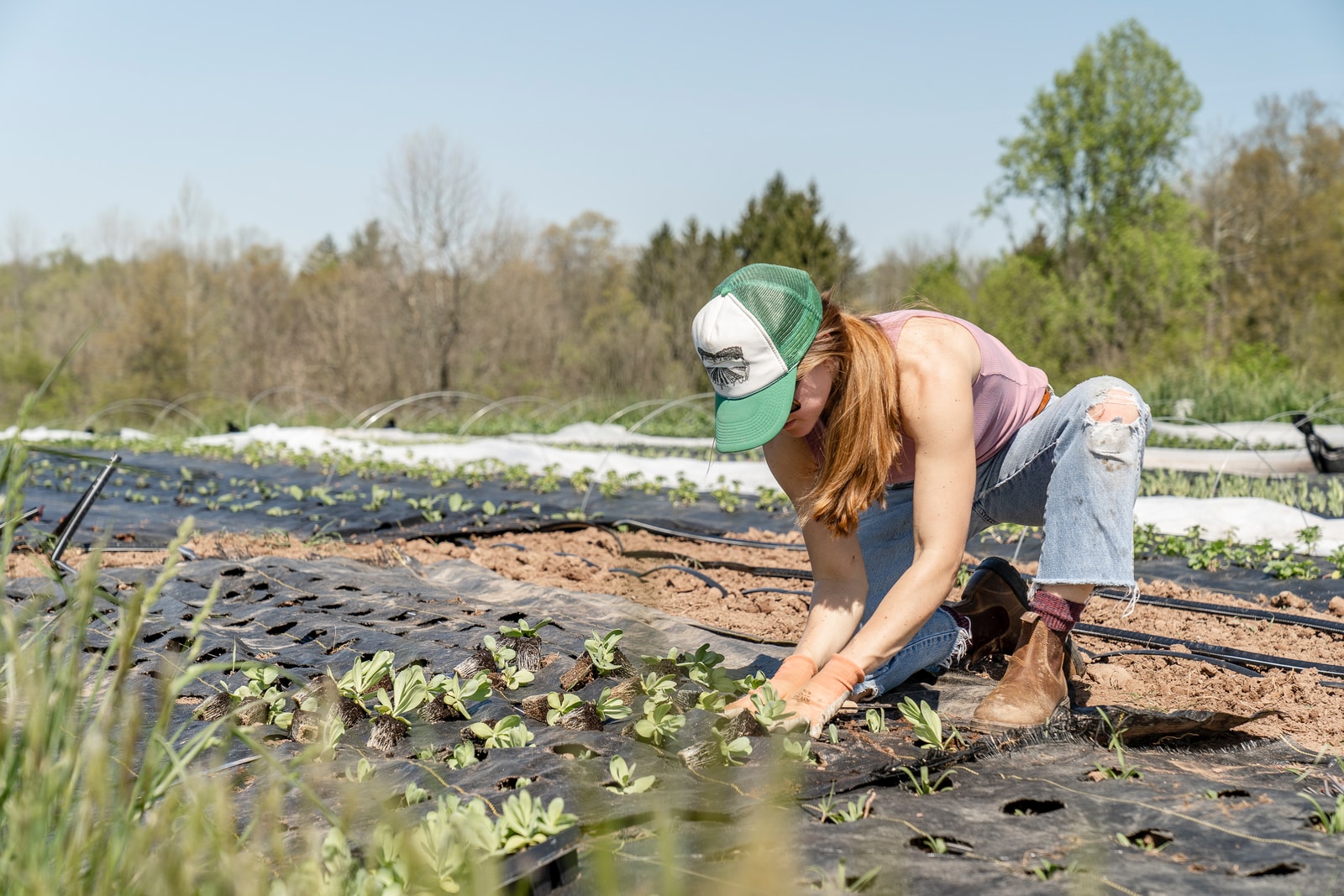 Sustainable Agriculture & Farming