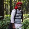 Sherdil: The Pilibhit Saga, starring Pankaj Tripathi, gets a release date