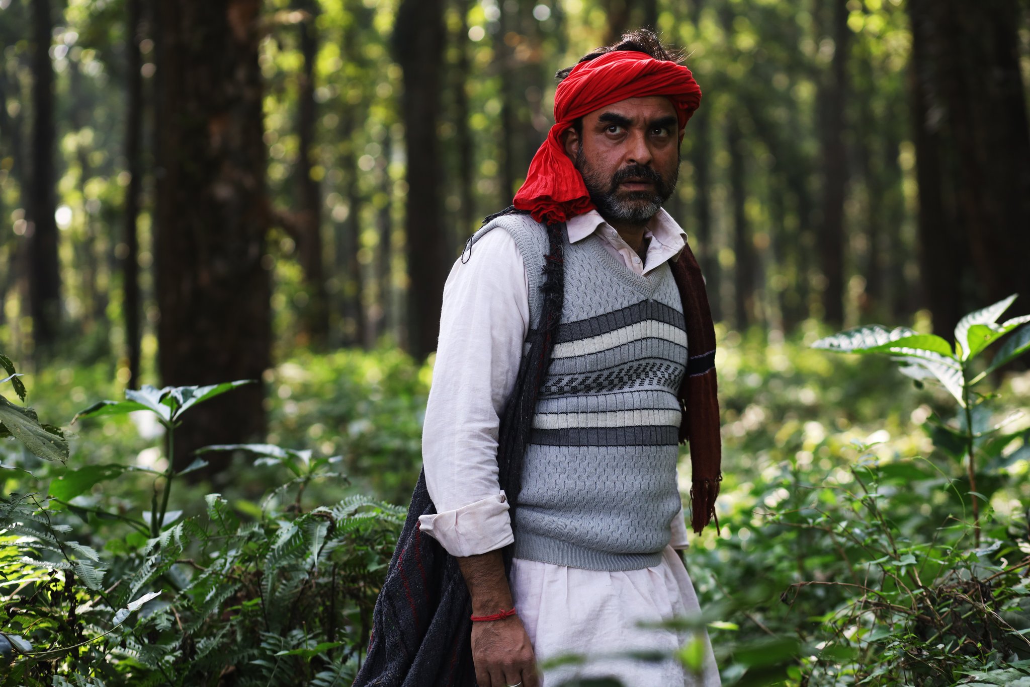 Sherdil: The Pilibhit Saga, starring Pankaj Tripathi, gets a release date
