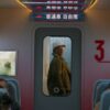 Bullet Train Brad Pitt and Joey King’s Crazy Action Comedy