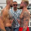 All About Andrew Tate Vs Jake Paul