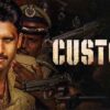 Custody Movie Review: Interesting Premise Let Down by Weak Screenplay