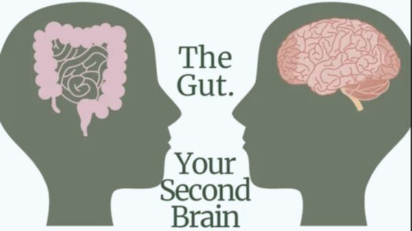 World Digestive Health Day 2023 All About the Gut