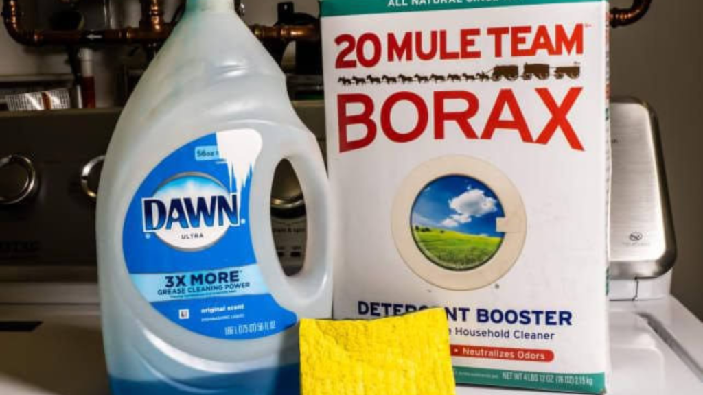 Borax Viral Trend