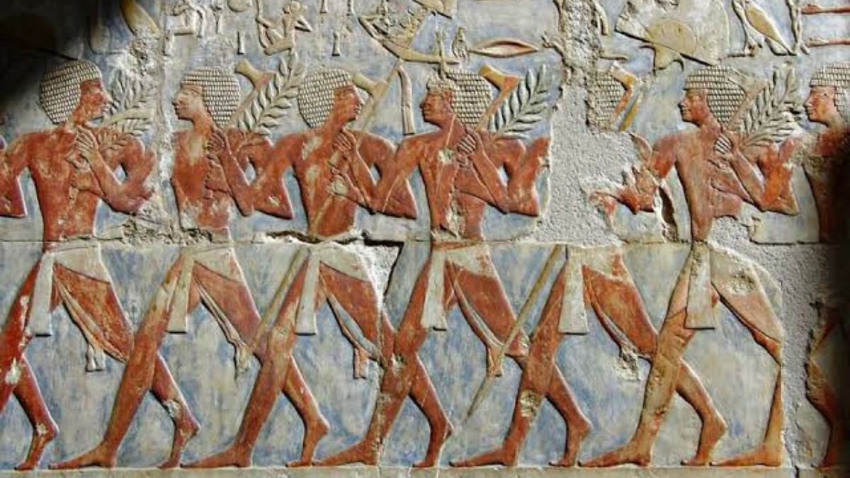 The Land Of Punt