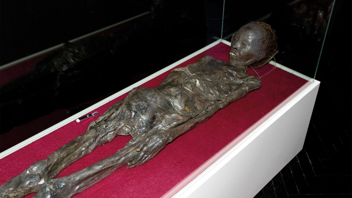 The Mummy Wrapped In A Foreign Book