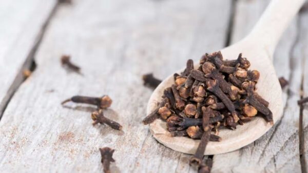 All hail for the clove spice - the health messiah!  