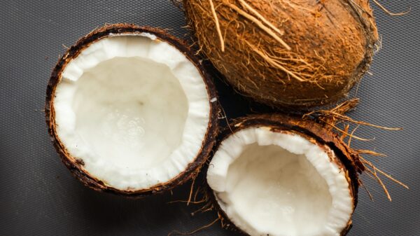 health benefits of coconut