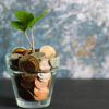 GOOD INVESTMENT HABITS- A Strategic Approach to Prioritizing Investments & Growing Your Wealth