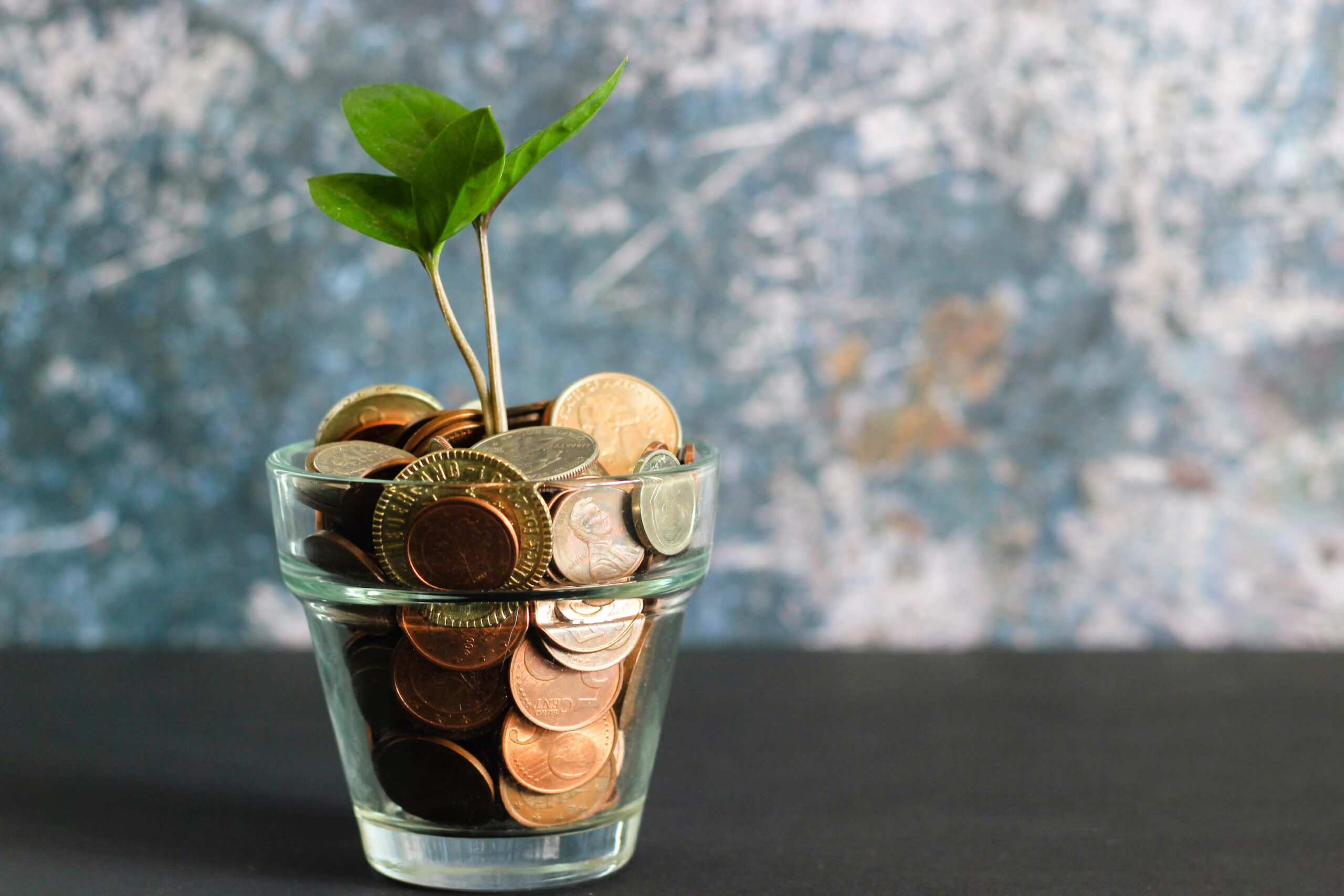 GOOD INVESTMENT HABITS- A Strategic Approach to Prioritizing Investments & Growing Your Wealth